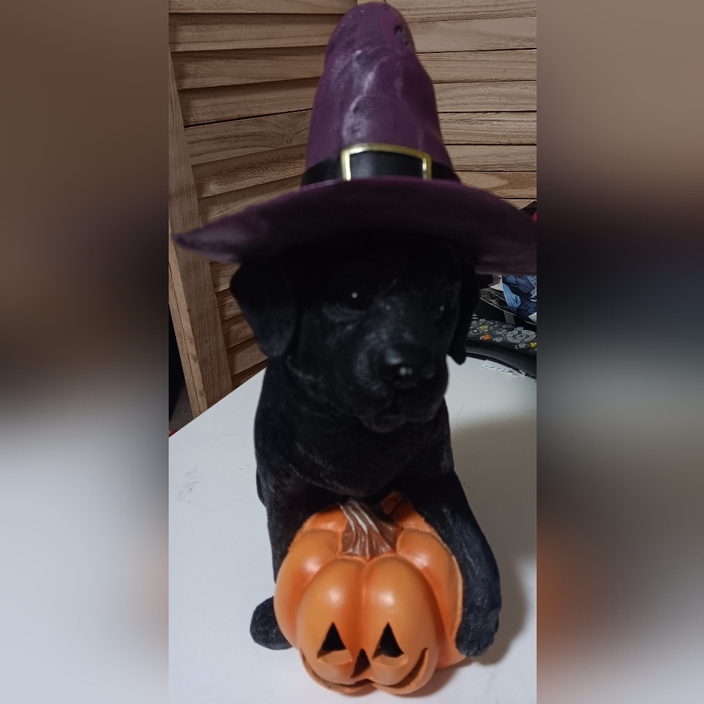 Dog figurine Halloween hat decor black and purple